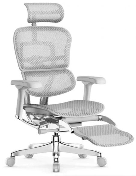 Крісло ERGOHUMAN ELITE 2 (EHE2-AG-HAM-5D-L-LM, сітка T-168-B2 Natural), ергономічне, з підставкою під ноги