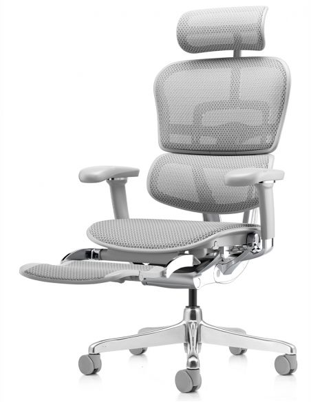 Крісло ERGOHUMAN ELITE 2 (EHE2-AG-HAM-5D-L-LM, сітка T-168-B2 Natural), ергономічне, з підставкою під ноги