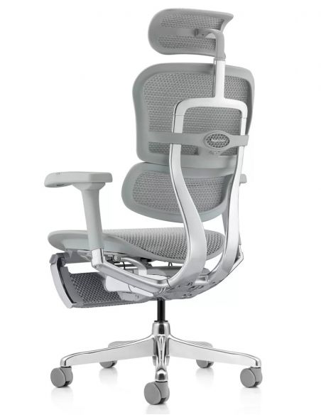 Крісло ERGOHUMAN ELITE 2 (EHE2-AG-HAM-5D-L-LM, сітка T-168-B2 Natural), ергономічне, з підставкою під ноги