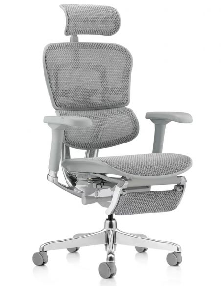 Крісло ERGOHUMAN ELITE 2 (EHE2-AG-HAM-5D-L-LM, сітка T-168-B2 Natural), ергономічне, з підставкою під ноги
