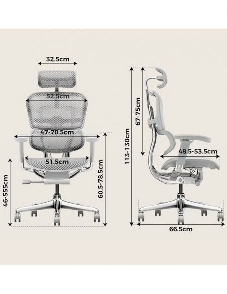 Крісло ERGOHUMAN ELITE 2 (EHE2-AG-HAM-5D-L-LM, сітка T-168-B2 Natural), ергономічне, з підставкою під ноги