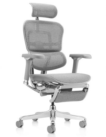 Крісло ERGOHUMAN LUXURY 2 (EHL2-AG-HAM-5D-D-LM, сітка...