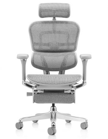 Крісло ERGOHUMAN LUXURY 2 (EHL2-AG-HAM-5D-D-LM, сітка... 2