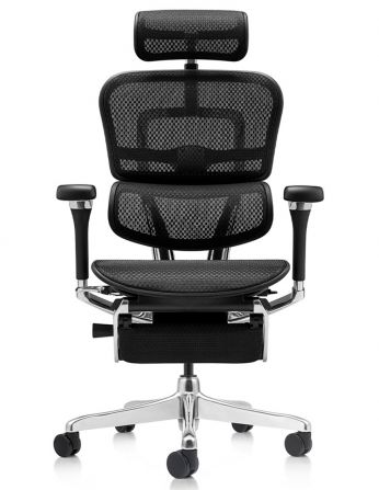 Крісло ERGOHUMAN LUXURY 2 (EHL2-AB-HAM-5D-D-LM, сітка... 2