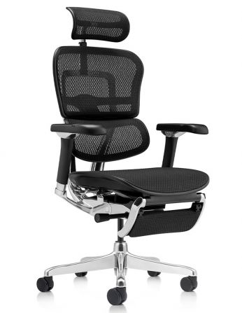 Крісло ERGOHUMAN LUXURY 2 (EHL2-AB-HAM-5D-D-LM, сітка...