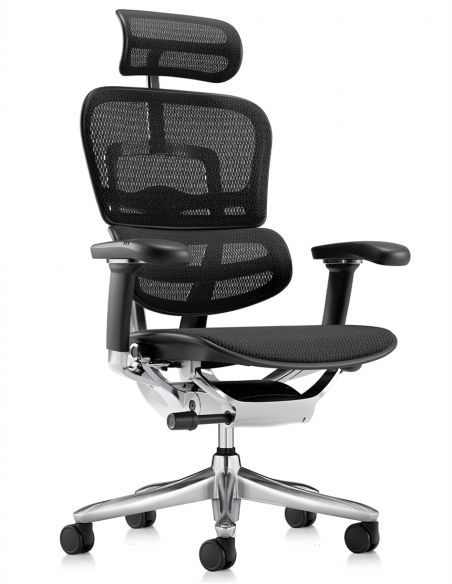 Крісло ERGOHUMAN LUXURY SE (EHSE-AB-HAM-5D-ST-D, сітка W945-01Black), ергономічне
