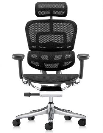 Крісло ERGOHUMAN LUXURY SE (EHSE-AB-HAM-5D-ST-D, сітка... 2