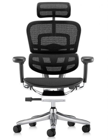 Крісло ERGOHUMAN LUXURY SE (EHSE-AB-HAM-5D-ST-D, сітка W945-01Black), ергономічне