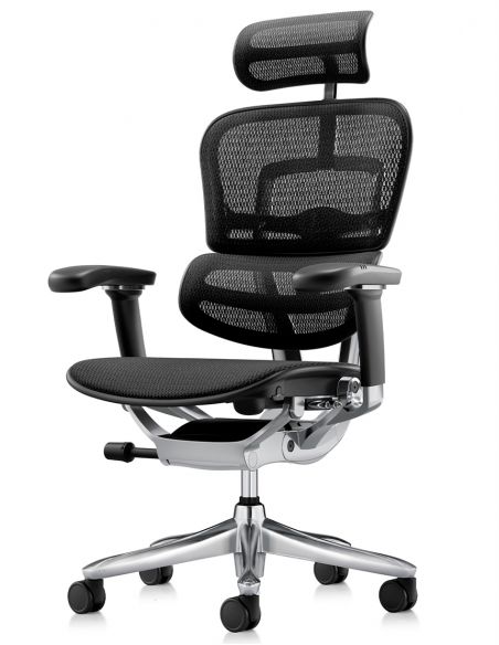 Крісло ERGOHUMAN LUXURY SE (EHSE-AB-HAM-5D-ST-D, сітка W945-01Black), ергономічне