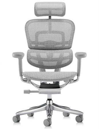 Крісло ERGOHUMAN LUXURY SE (EHSE-AG-HAM-5D-ST-D, сітка... 2