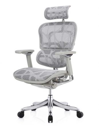 Крісло ERGOHUMAN PLUS LUXURY (EHPL-AG-HAM, ZB7) ергономічне 2