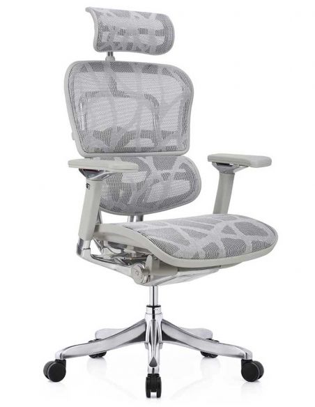 Крісло ERGOHUMAN PLUS LUXURY (EHPL-AG-HAM, ZB7) ергономічне