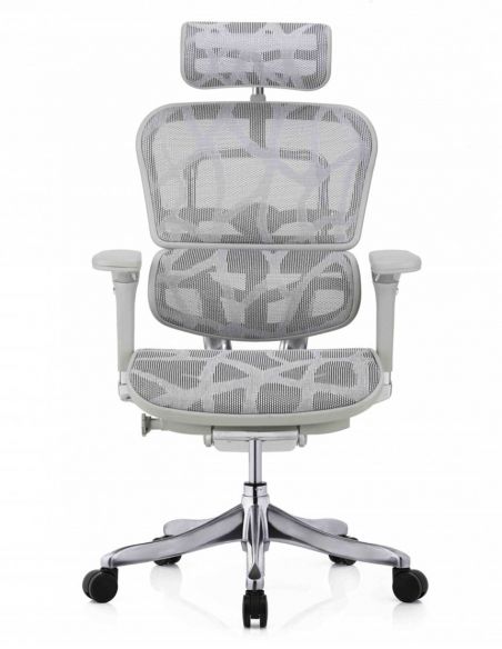 Крісло ERGOHUMAN PLUS LUXURY (EHPL-AG-HAM, ZB7) ергономічне