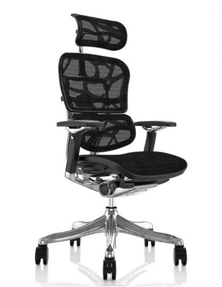 Крісло ERGOHUMAN PLUS LUXURY (EHPL-AB-HAM) комп'ютерне