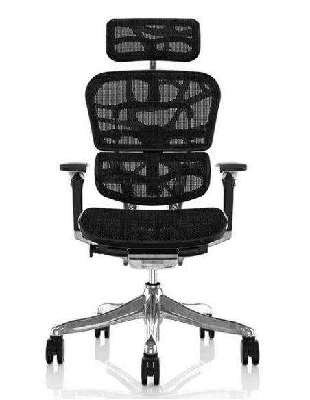 Крісло ERGOHUMAN PLUS LUXURY (EHPL-AB-HAM) комп'ютерне