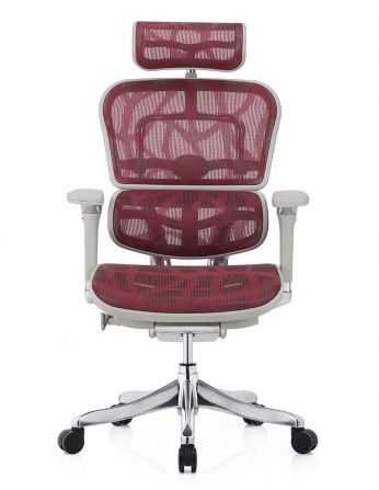 Крісло ERGOHUMAN PLUS LUXURY (EHPL-AG-HAM, ZB6)... 2