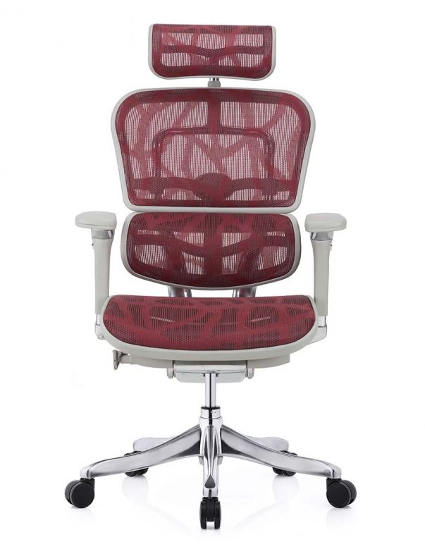 Крісло ERGOHUMAN PLUS LUXURY...