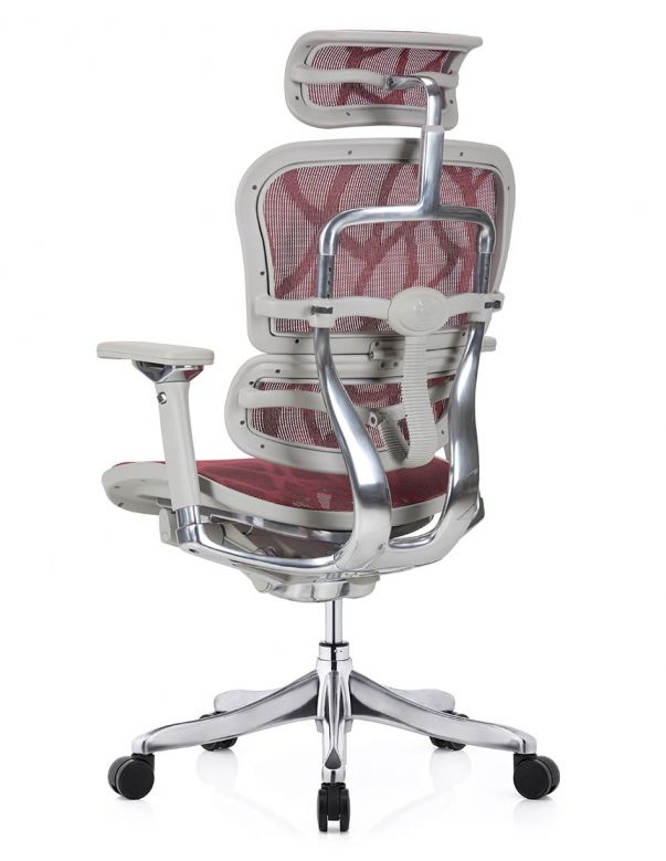 Крісло ERGOHUMAN PLUS LUXURY...