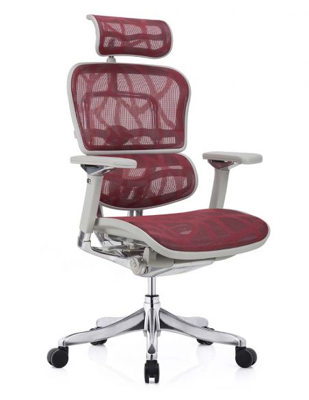 Крісло ERGOHUMAN PLUS LUXURY (EHPL-AG-HAM, ZB6) ергономічне, червоного кольору