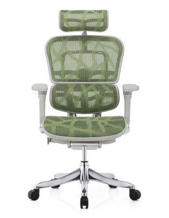 Крісло ERGOHUMAN PLUS LUXURY (EHPL-AG-HAM, ZB3)... 2