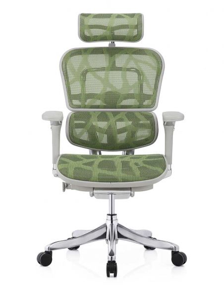Крісло ERGOHUMAN PLUS LUXURY (EHPL-AG-HAM, ZB3) ергономічне, зеленого кольору