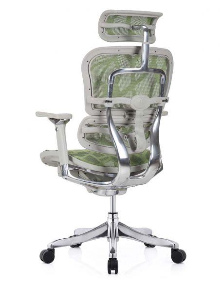 Крісло ERGOHUMAN PLUS LUXURY (EHPL-AG-HAM, ZB3) ергономічне, зеленого кольору