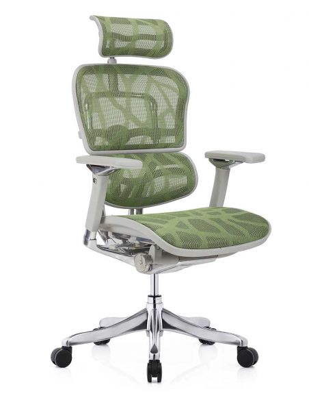 Крісло ERGOHUMAN PLUS LUXURY (EHPL-AG-HAM, ZB3) ергономічне, зеленого кольору