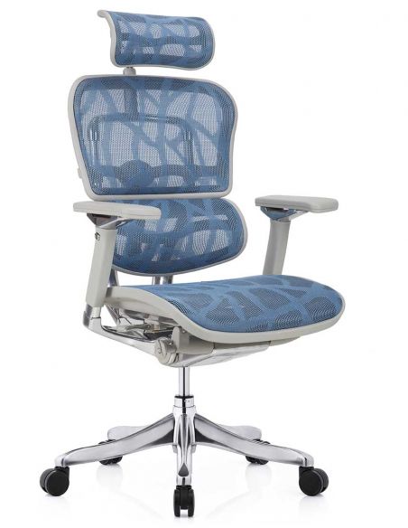 Крісло ERGOHUMAN PLUS LUXURY (EHPL-AG-HAM, ZB5) ергономічне, синього кольору