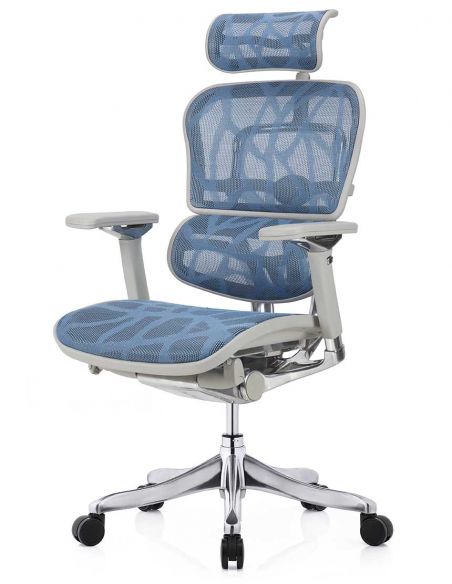 Крісло ERGOHUMAN PLUS LUXURY (EHPL-AG-HAM, ZB5) ергономічне, синього кольору