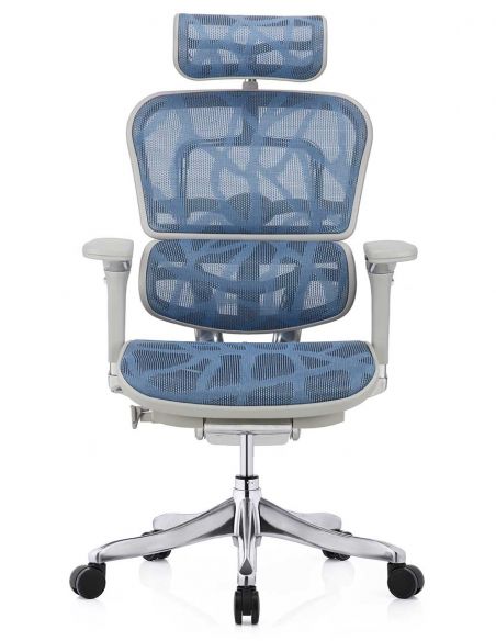 Крісло ERGOHUMAN PLUS LUXURY (EHPL-AG-HAM, ZB5) ергономічне, синього кольору