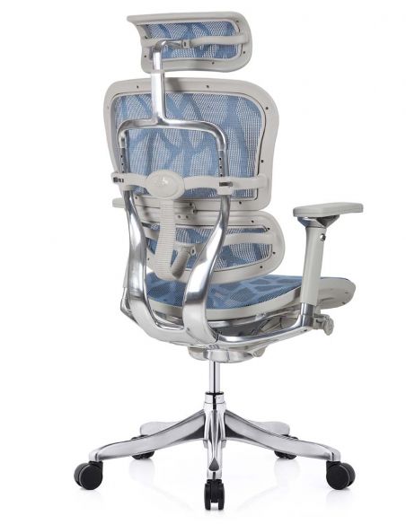 Крісло ERGOHUMAN PLUS LUXURY (EHPL-AG-HAM, ZB5) ергономічне, синього кольору