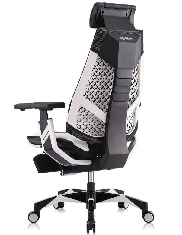 Крісло геймерьське GENIDIA GAMING...