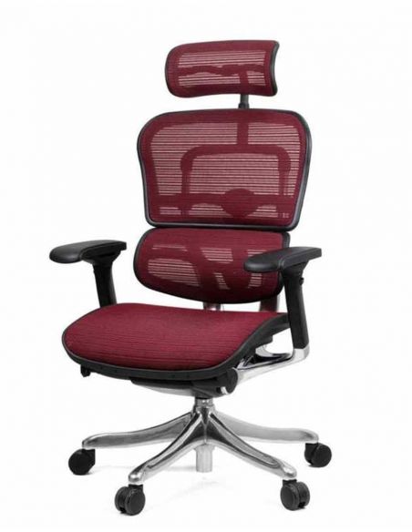 Крісло комп'ютерне ERGOHUMAN PLUS, ергономічне, бордового кольору