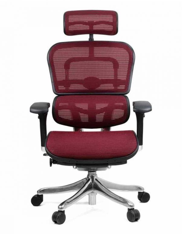 Крісло комп'ютерне ERGOHUMAN PLUS,...