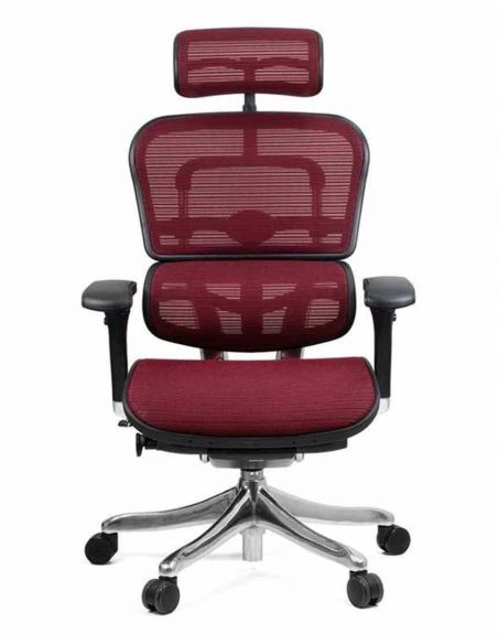 Крісло комп'ютерне ERGOHUMAN PLUS, ергономічне, бордового кольору
