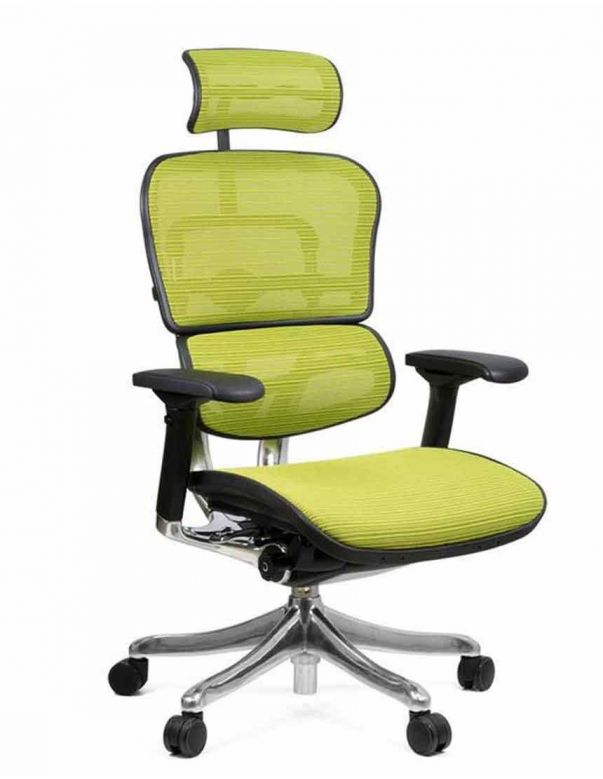 Крісло комп'ютерне ERGOHUMAN PLUS, ергономічне, зеленого кольору