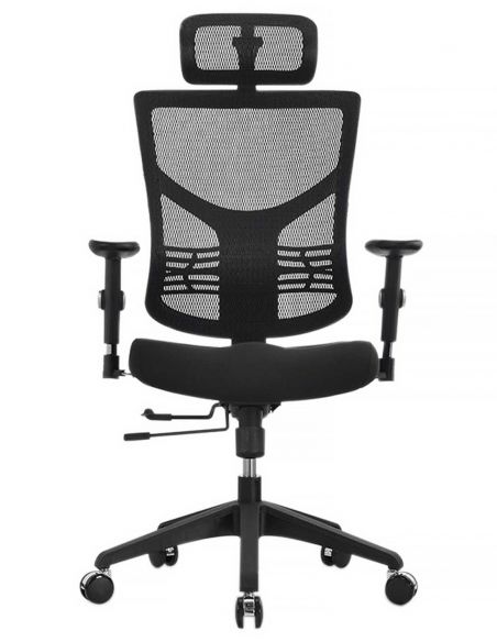 Крісло EXPERT STAR STE, ергономічне, колір чорний