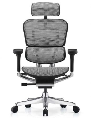 Крісло ергономічне ERGOHUMAN LUXURY 2 (EHL2-AB-HAM-5D-E-L, СІТКА Т-168-B2 NATURAL) 2