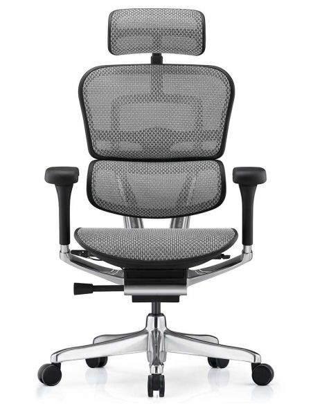 Крісло ергономічне ERGOHUMAN LUXURY 2 (EHL2-AB-HAM-5D-L, СІТКА Т-168-B2 NATURAL)