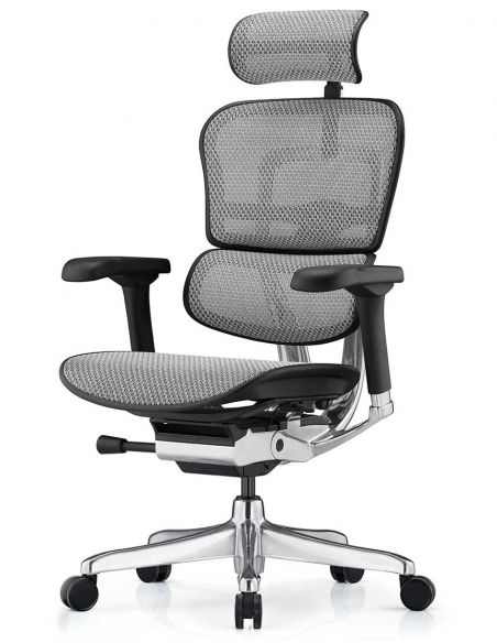 Крісло ергономічне ERGOHUMAN LUXURY 2 (EHL2-AB-HAM-5D-L, СІТКА Т-168-B2 NATURAL)