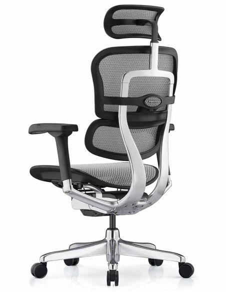 Крісло ергономічне ERGOHUMAN LUXURY 2 (EHL2-AB-HAM-5D-L, СІТКА Т-168-B2 NATURAL)