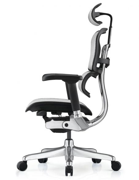 Крісло ергономічне ERGOHUMAN LUXURY 2 (EHL2-AB-HAM-5D-L, СІТКА Т-168-B2 NATURAL)