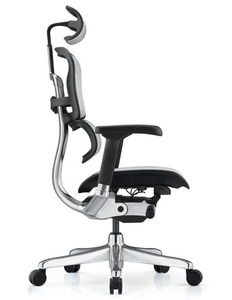 Крісло ергономічне ERGOHUMAN LUXURY 2 (EHL2-AB-HAM-5D-L, СІТКА Т-168-B2 NATURAL)