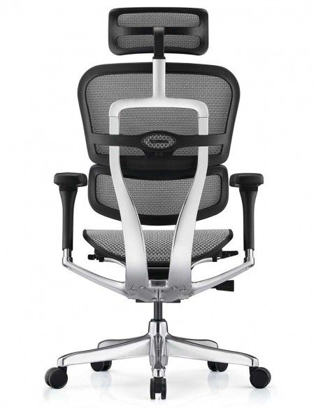 Крісло ергономічне ERGOHUMAN LUXURY 2 (EHL2-AB-HAM-5D-D, СІТКА Т-168-B2 NATURAL)