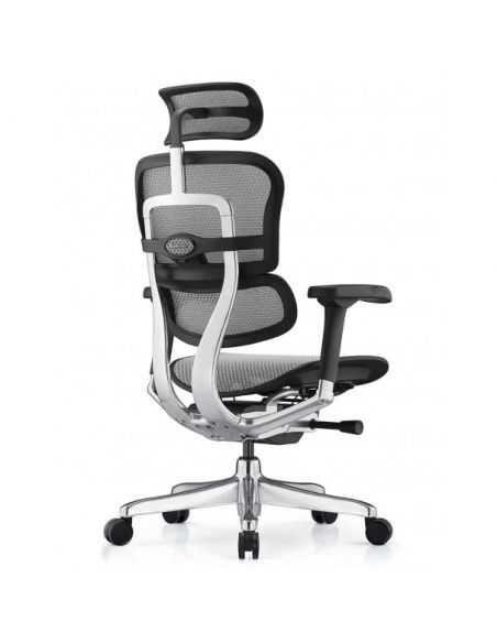 Крісло ергономічне ERGOHUMAN LUXURY 2 (EHL2-AB-HAM-5D-L, СІТКА Т-168-B2 NATURAL)