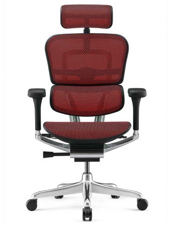 Крісло ергономічне ERGOHUMAN LUXURY 2 (EHL2-AB-HAM-5D-E-L, СІТКА Т-168-B3 SCARLET)