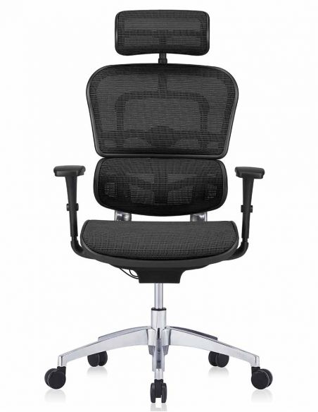 Крісло ергономічне ERGOHUMAN PROJECT (EHB-WB-HAM) з чорною сіткою