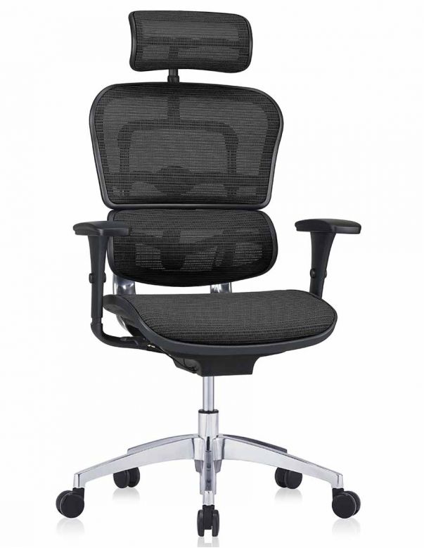 Крісло ергономічне ERGOHUMAN PROJECT...