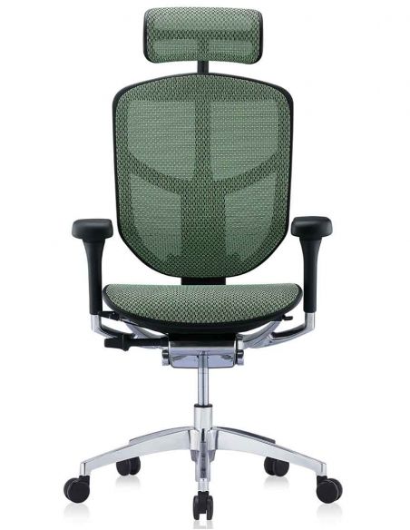 Крісло ергономічне ENJOY ELITE 2 (EJE2-AB-HAM-5D-L, СІТКА T-168-B6 GREEN)
