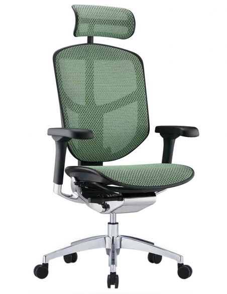 Крісло ергономічне ENJOY ELITE 2 (EJE2-AB-HAM-5D-L, СІТКА T-168-B6 GREEN)